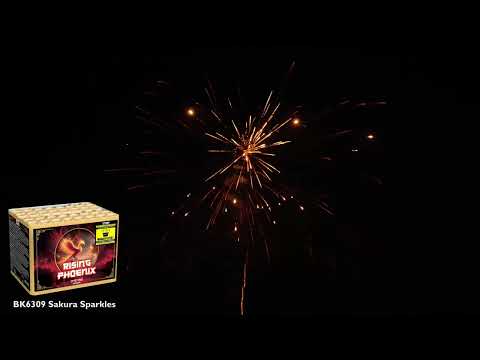 Rising Phoenix - 1 KOLLI