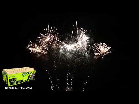 INTO THE WILD Mega showbox - Sidste chance Into