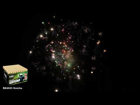 GOTCHA 2 kilo showbox - Sidste chance