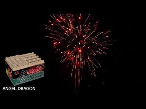 ANGEL DRAGON showbox - Sidste chance