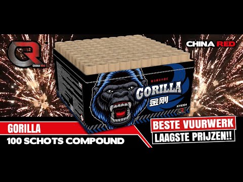 GORILLA 2 kilo showbox - Sidste chance